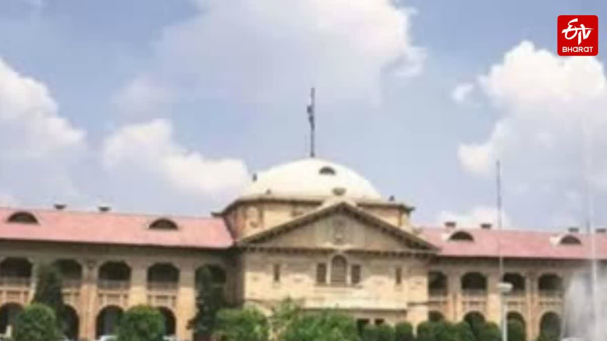 allahabad high court grants bail to pocso act convict after he marries the victim Urdu News