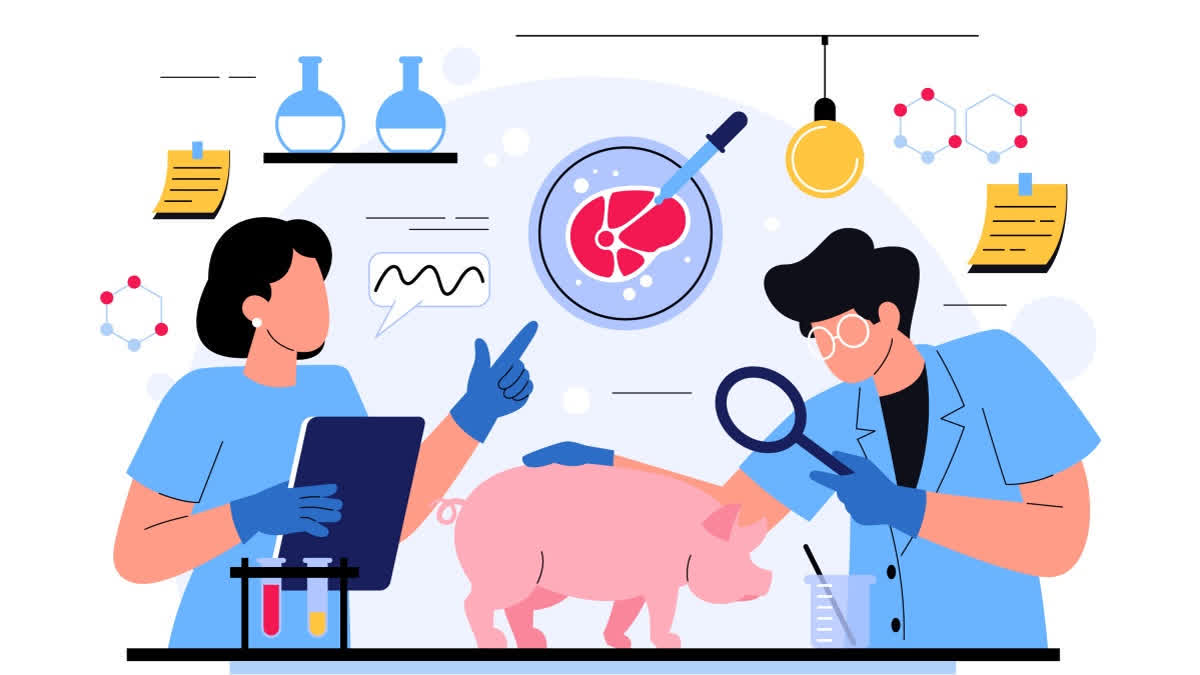 Zoonotic Diseases