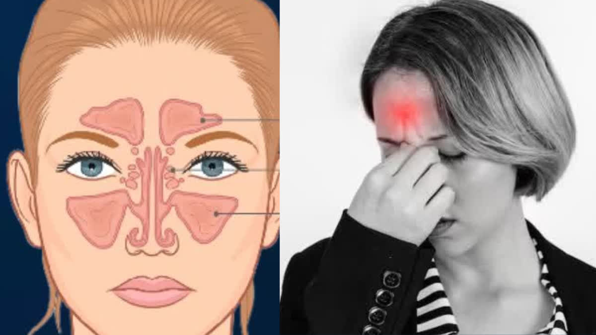 What are nasal cancer and sinus cancer? Learn about their early symptoms and causes.