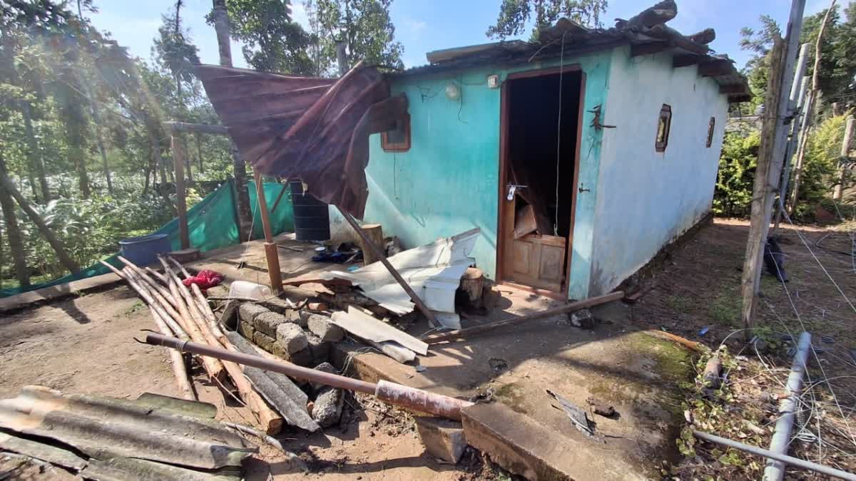 CHAKKAKOMBAN  ELEPHANT ATTACK IN IDUKKI  WILD ELEPHANT ATTACK HOUSE  WILD ANIMALS ATTACK