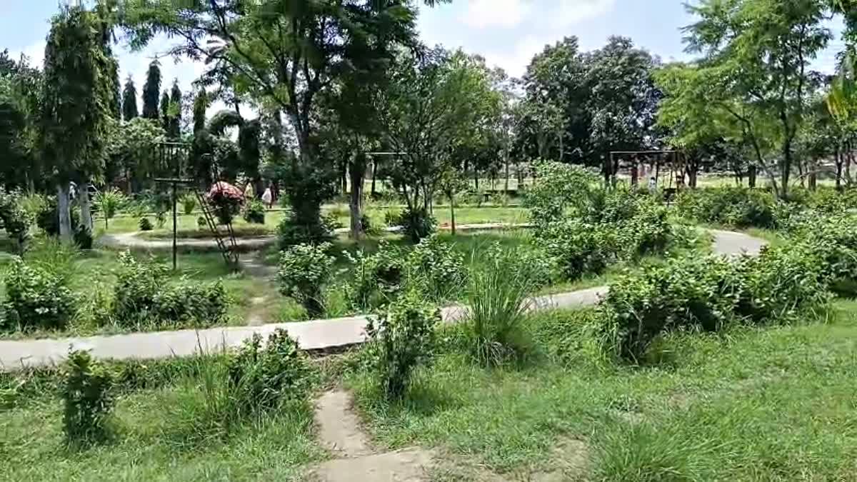 GREENFIELD SATELLITE TOWNSHIPS