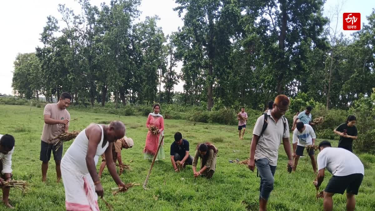 Forest department Human elephant conflict prevent goal