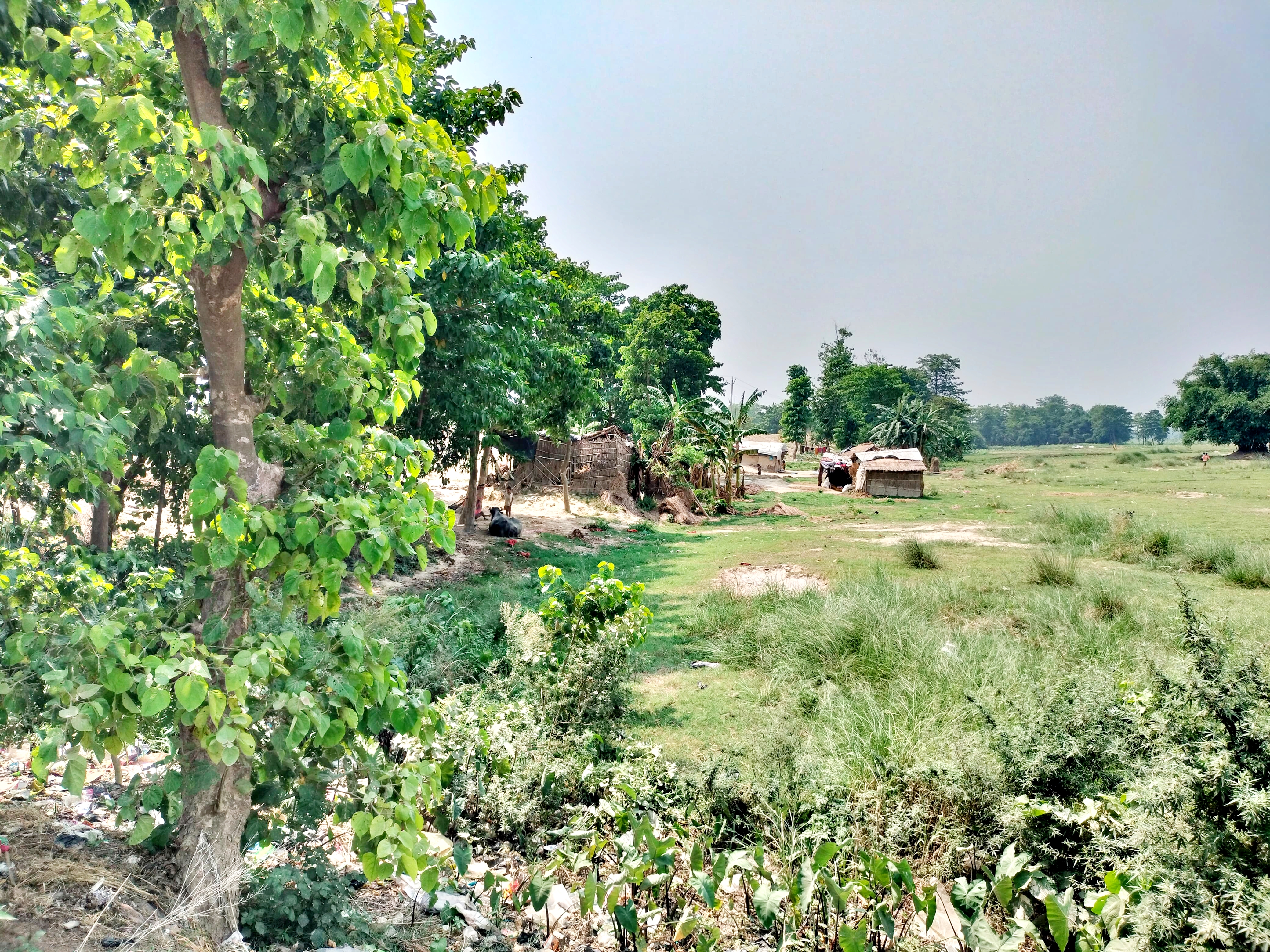 SHEOHAR NARKATIA VILLAGE FLOOD