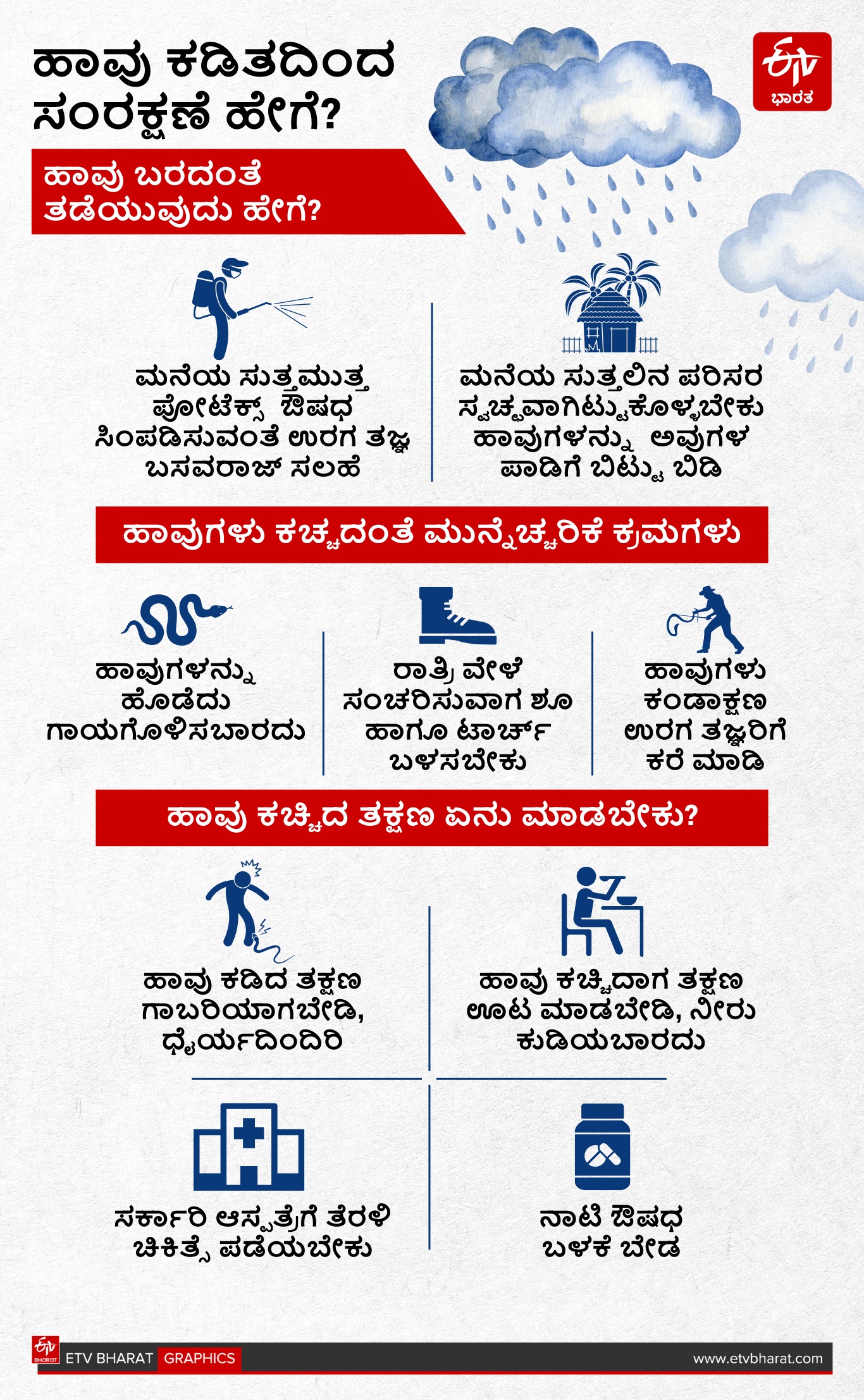 Precautions to Take to Avoid Snake Bites in Rainy Season