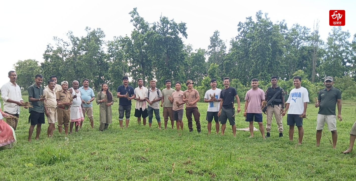 Forest department Human elephant conflict prevent goal