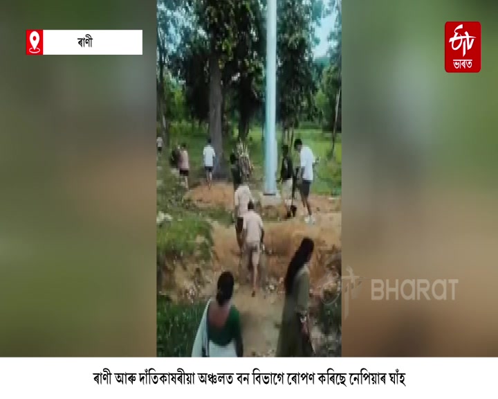 Forest department Human elephant conflict prevent goal