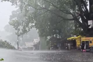 Satara rain