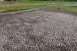 A view of the dry land amid water shortage near Sathiyar Dam at Palamedu area, in Madurai on June 24, 2026