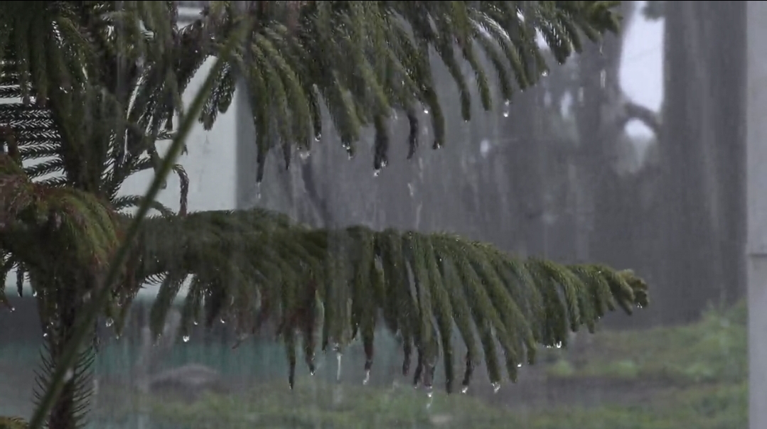 Rain Alert in Uttarakhand