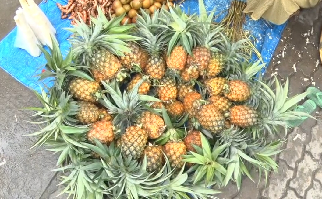 MEGHALAYA PINEAPPLE