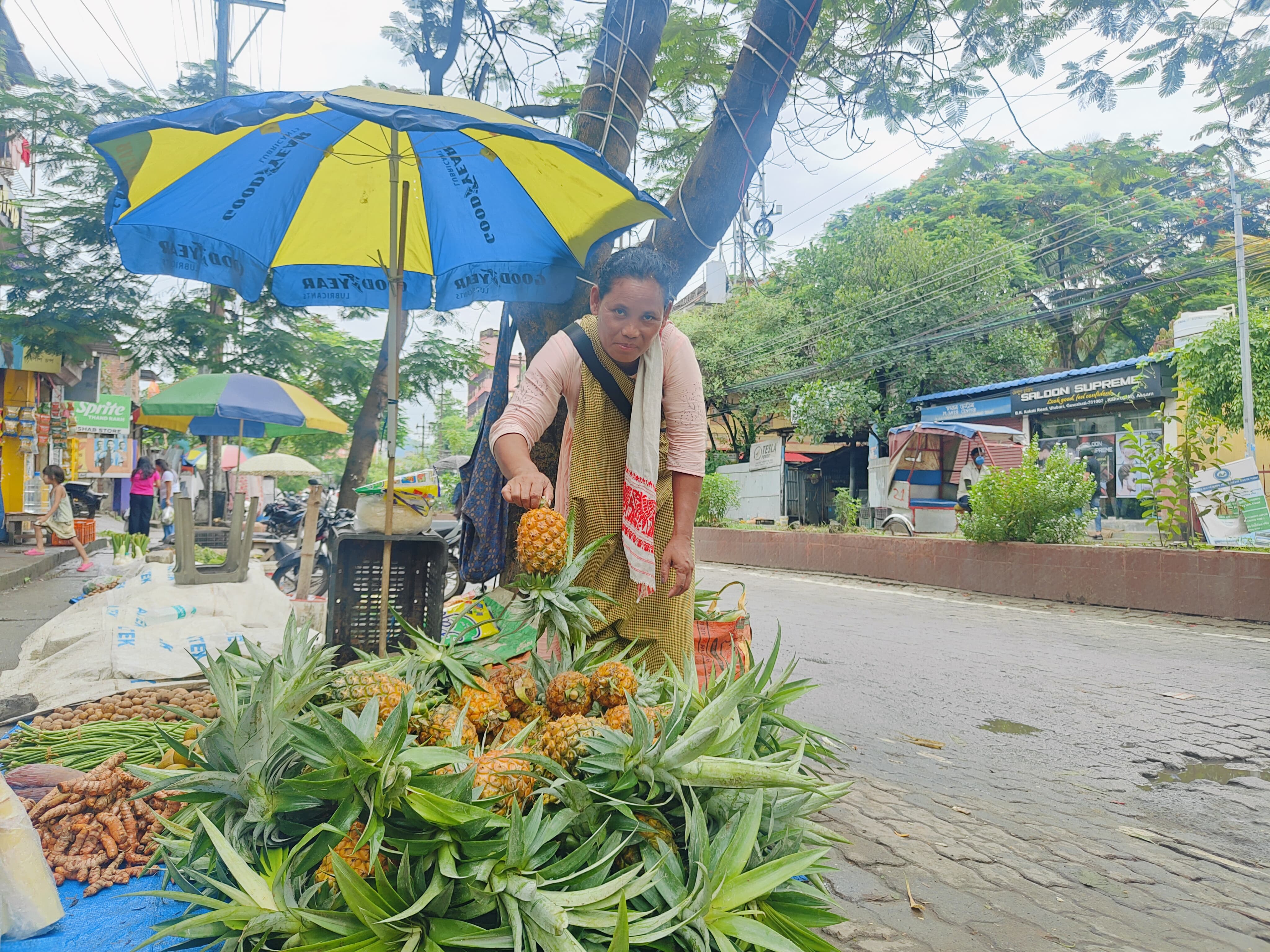 MEGHALAYA PINEAPPLE