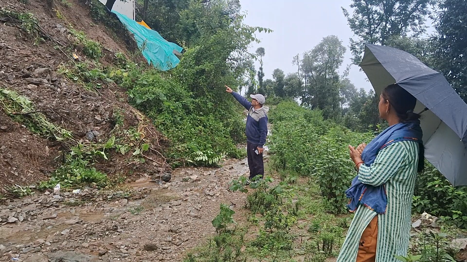 pauri