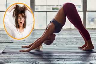 Practice these 5 yoga asanas daily to prevent hair loss; find out what the experts say.