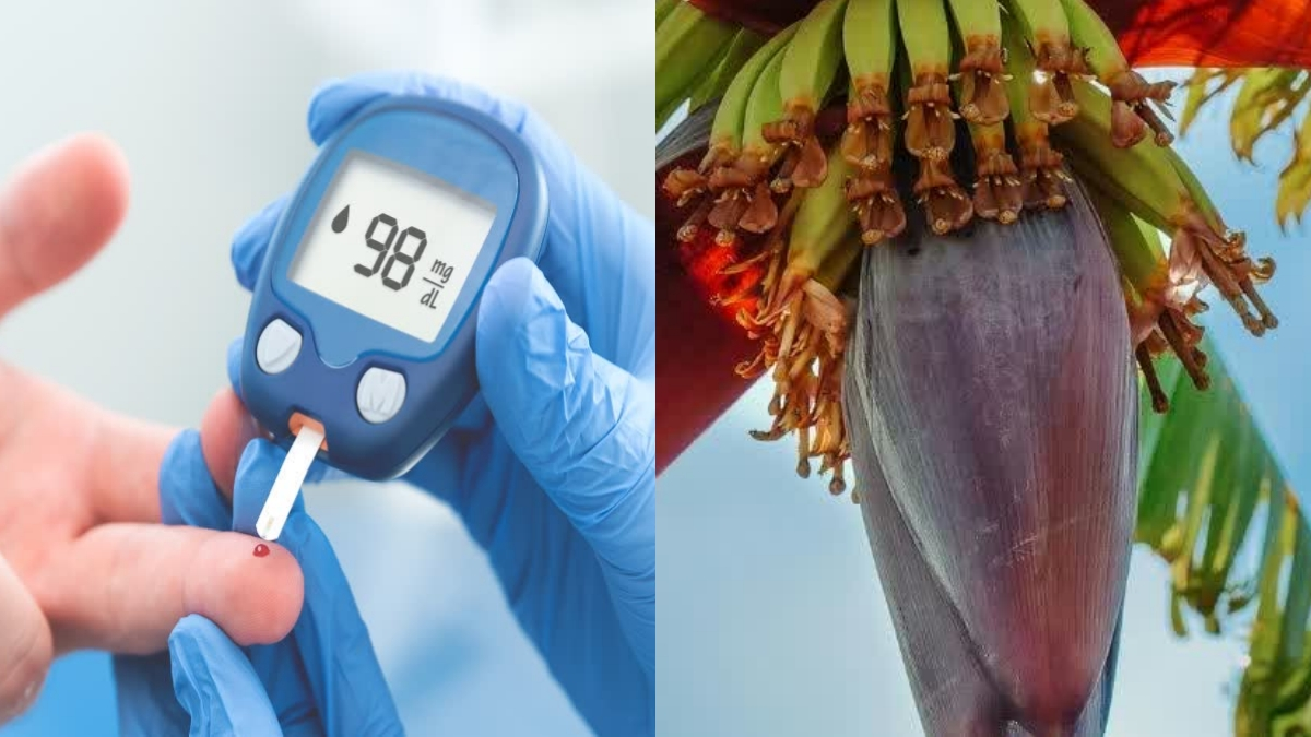BANANA FLOWER IN DIABETES CONTROL BLOOD SUGAR NATURALLY BANANA FLOWER REDUCE BLOOD SUGAR ಮಧುಮೇಹ
