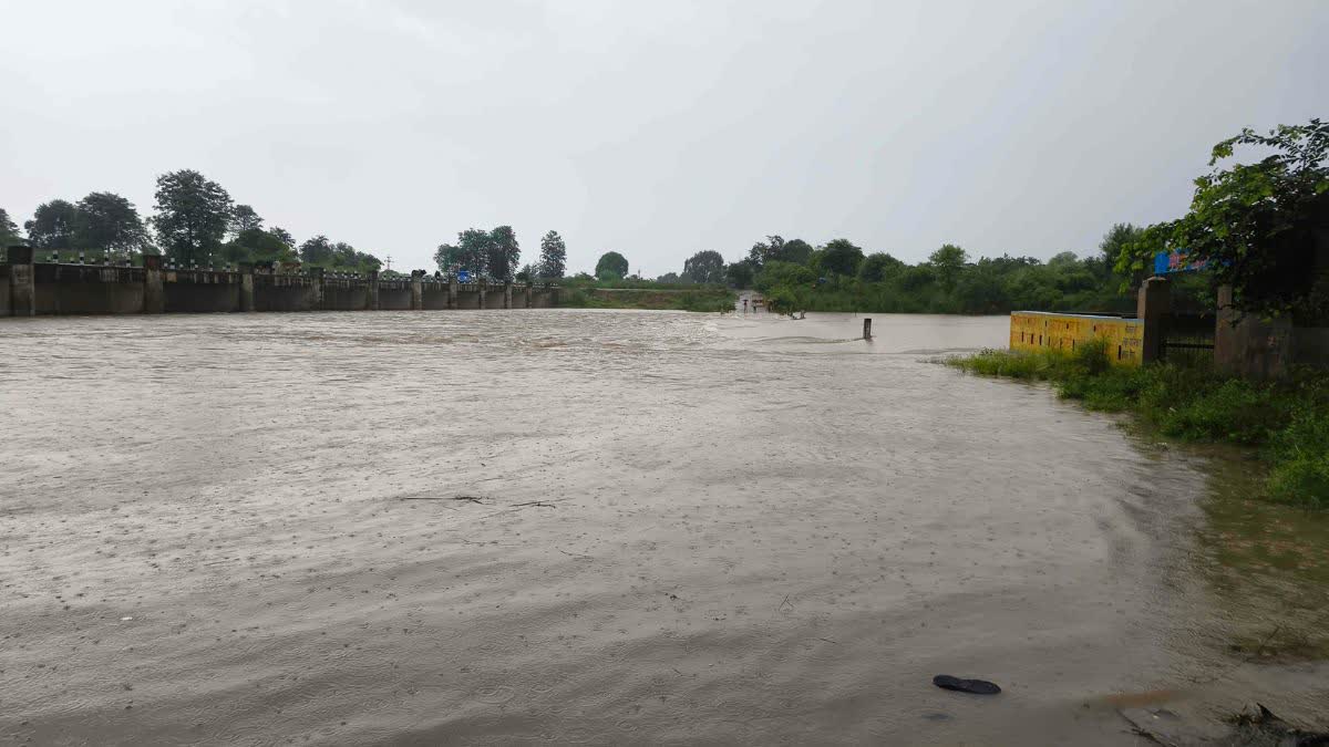 पार्वती नदी उफान पर