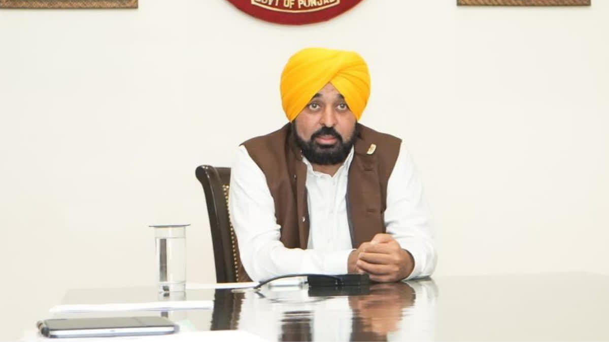 Punjab High Court Chief Justice