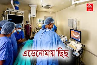 Microwave Ablation: A Surgical Alternative for Adenomyosis