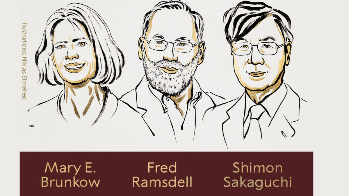 نوبل انعام 2025: میری ای برونکو، فریڈ رامسڈیل، اور شمعون ساکاگوچی نے طب میں نوبل انعام جیتا