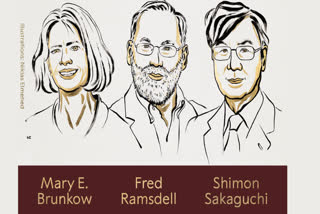 મેરી ઇ. બ્રેન્કો, ફ્રેડ રેમ્સડેલ અને શિમોન સાકાગુચીને મેડિસિનમાં નોબેલ પુરસ્કા