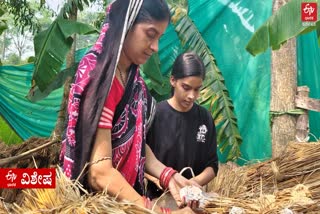 Odisha Mushroom Farmer Ipsita Swain