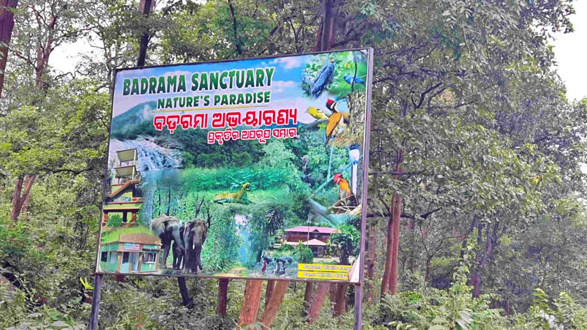 Sambalpur Ushakothi Sanctuary