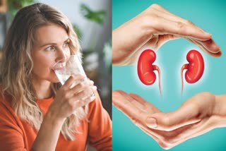 kidney health