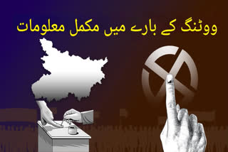 Bihar Assembly Election 2025 know how to cast your vote in bihar election 2025 full details Urdu News