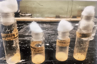 Adverse EFFECTS  SLEEPING PILLS  Research study  Health