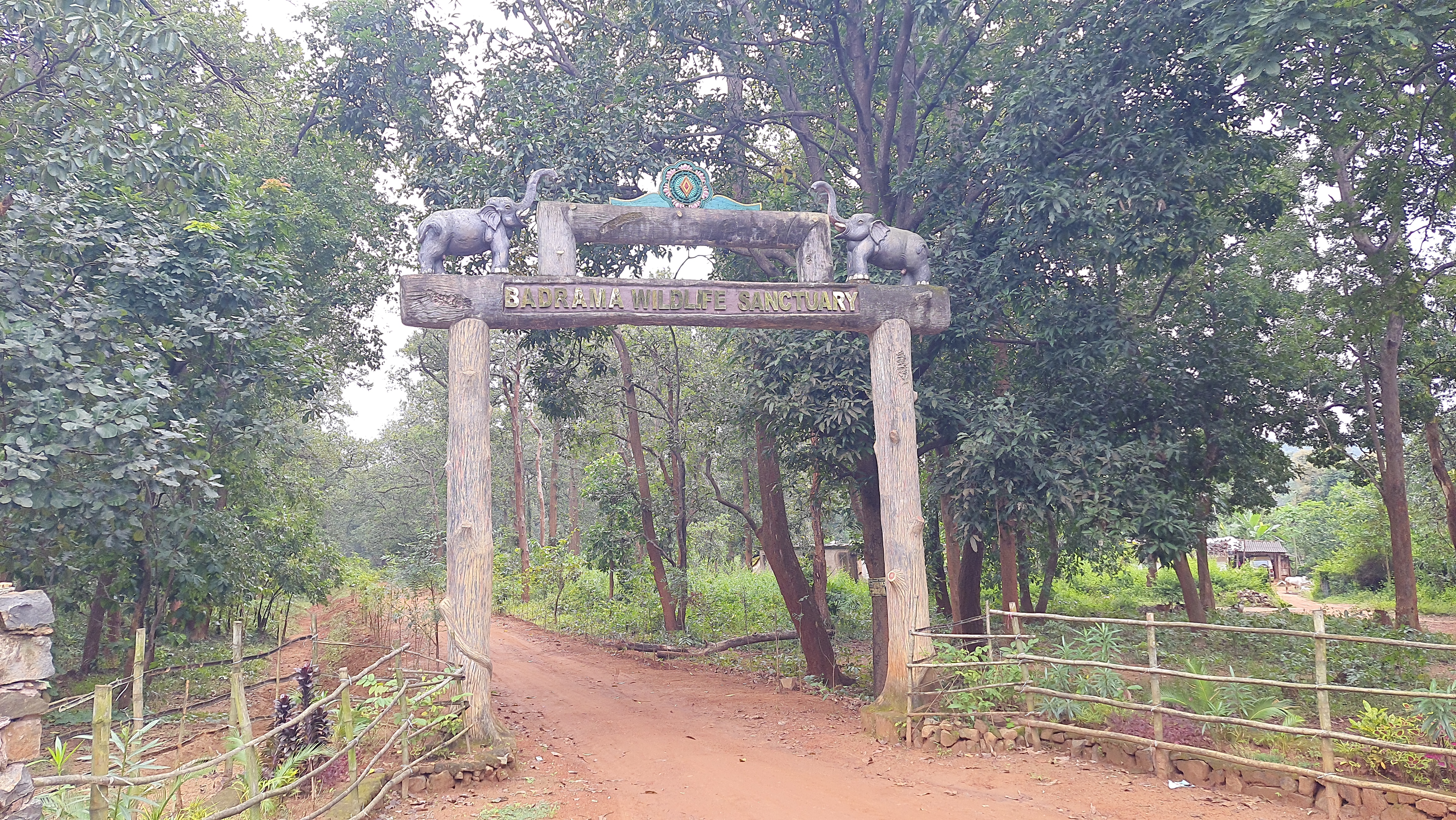 ଉଷାକୋଠି ଅଭୟାରଣ୍ୟ