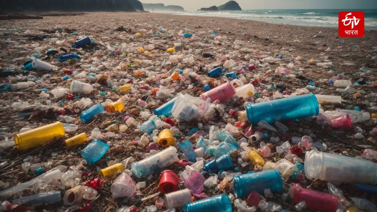 Plastic pollution,Plastic Wave 2025,Breaking Plastic Wave 2025 Report