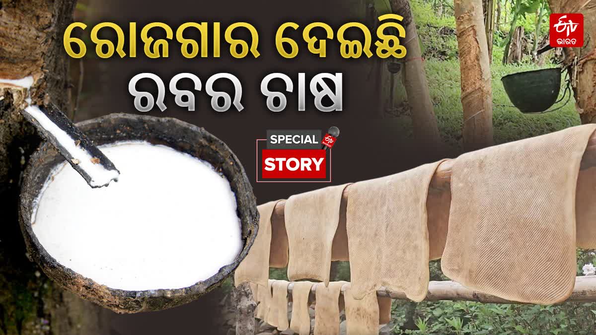 from migrant labourers to rubber farmers in Gajapati A Model of Self Sufficiency and women Empowerment