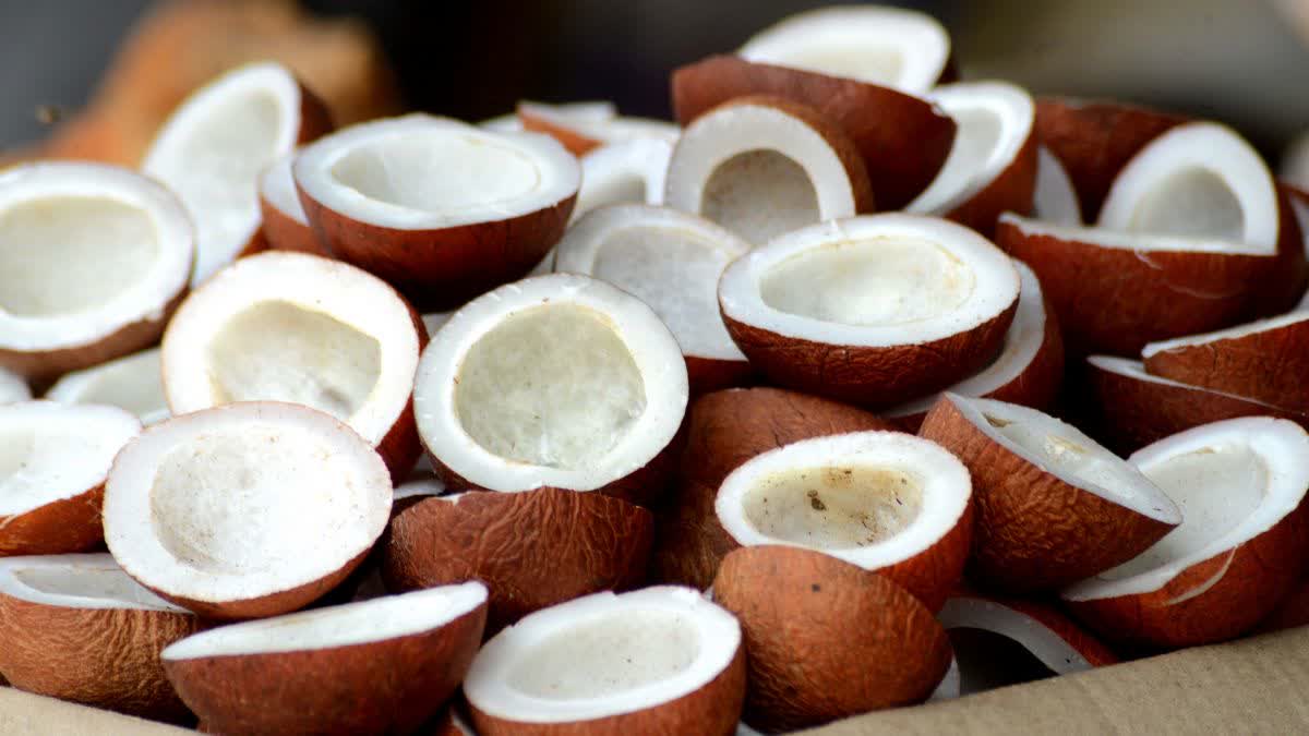 IS DRY COCONUT GOOD FOR HEALTH  COCONUT GOOD SIDE EFFECT  CAN COCONUT COUSE DIGESTIVE PROBLEM  WHO SHOULD NOT EAT DRY COCONUT
