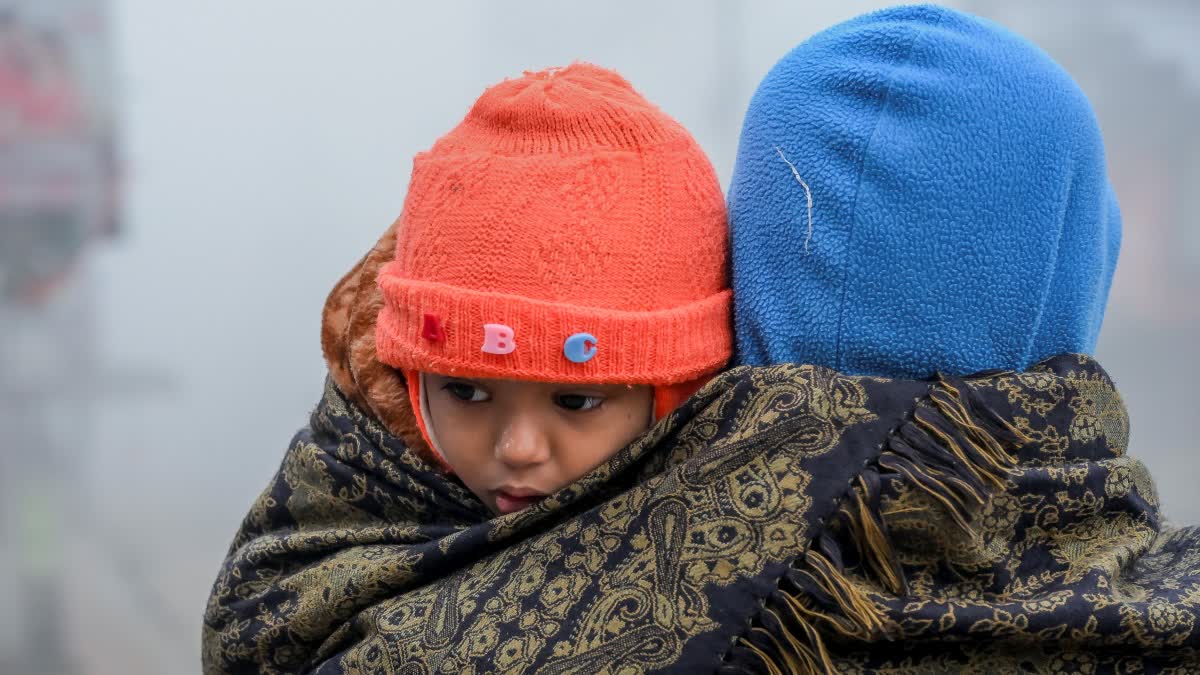 Winter Vibes at West Bengal