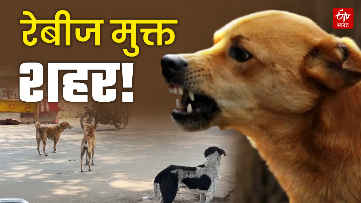 MISSION RABIES FREE GWALIOR