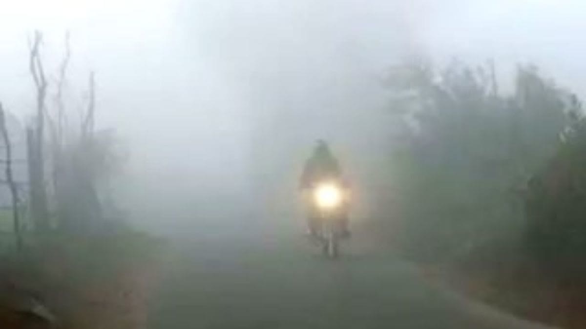 HARYANA WEATHER UPDATE