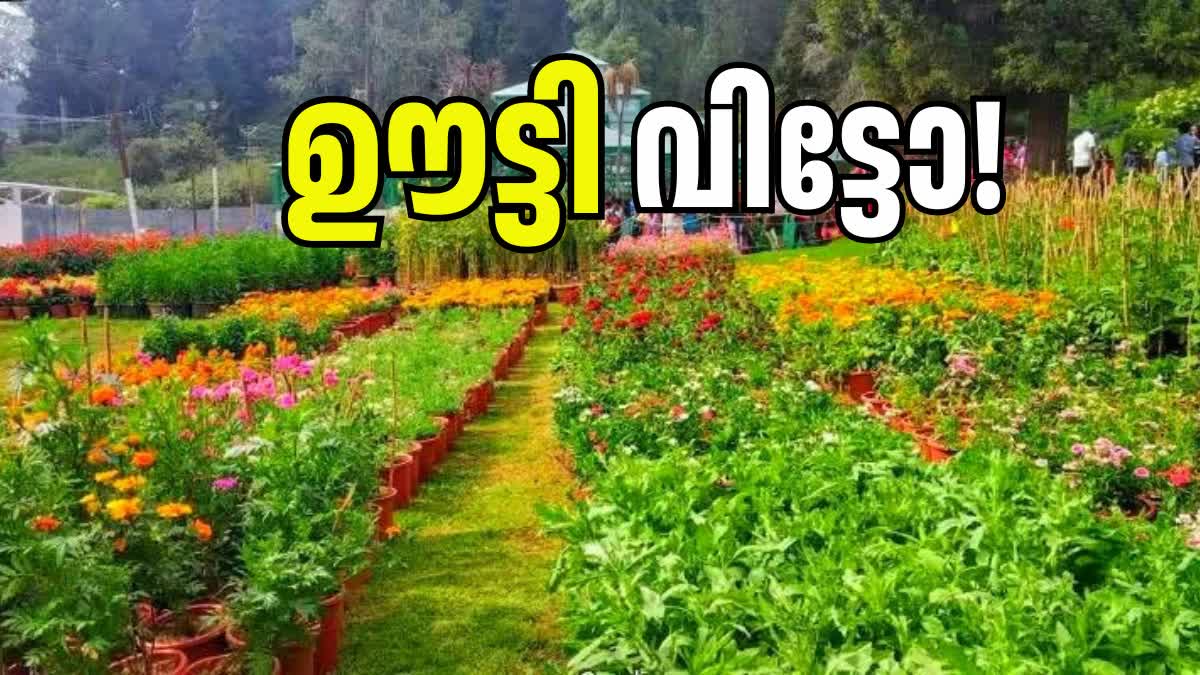 OOTY TOURISM CRISIS REPORT NILGIRIS EPASS SYSTEM IMPACT TAMIL NADU HILL STATION NEWS OOTY BOTANICAL GARDEN VISITORS