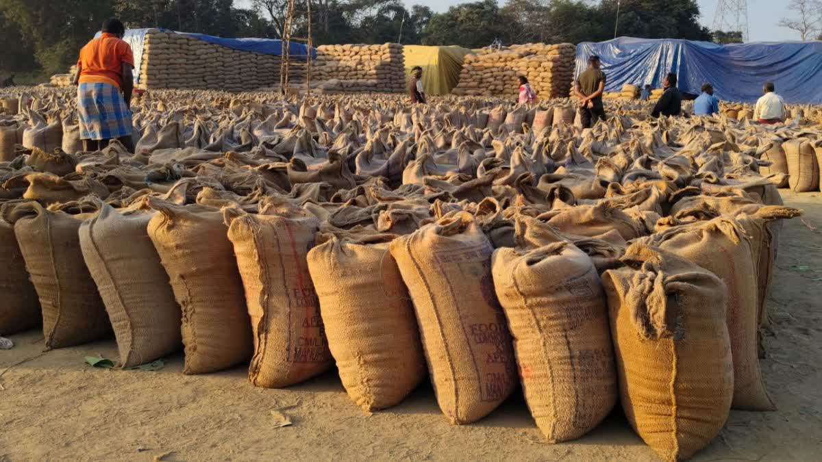 RAIGARH PADDY PROCUREMENT