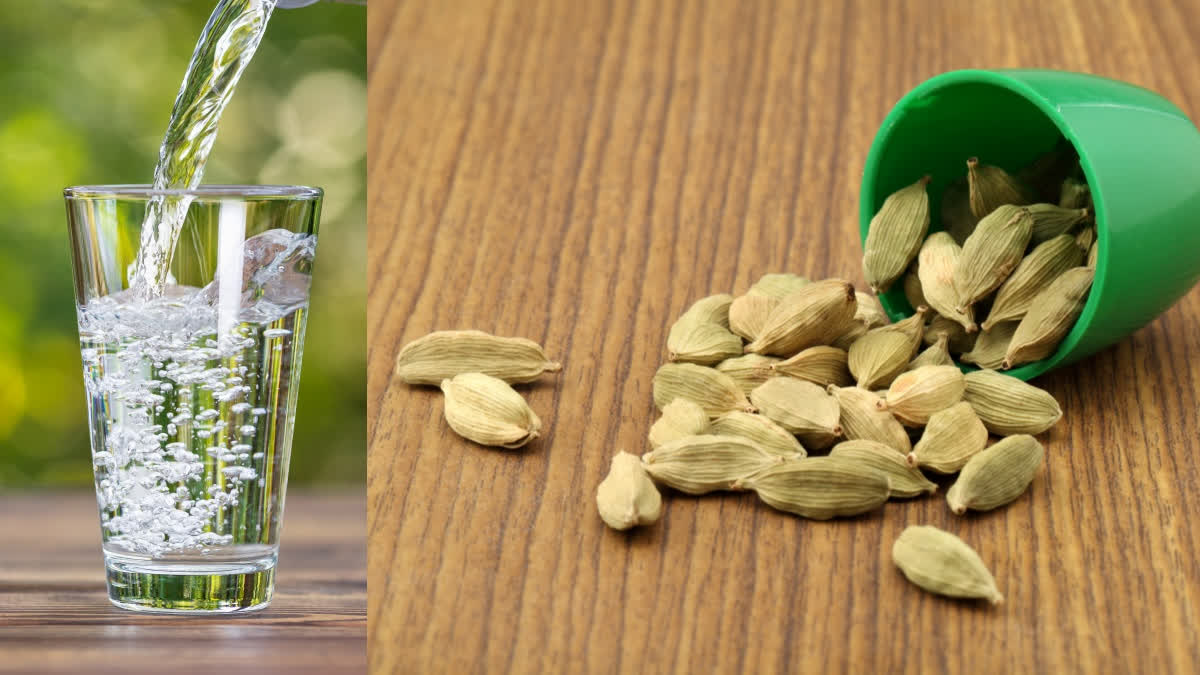 BENEFITS OF CARDAMOM WATER FOR MEN  HEALTH BENEFITS OF CARDAMOM  CARDAMOM WATER BENEFITS  ಏಲಕ್ಕಿ ನೀರಿನ ಆರೋಗ್ಯದ ಲಾಭಗಳು