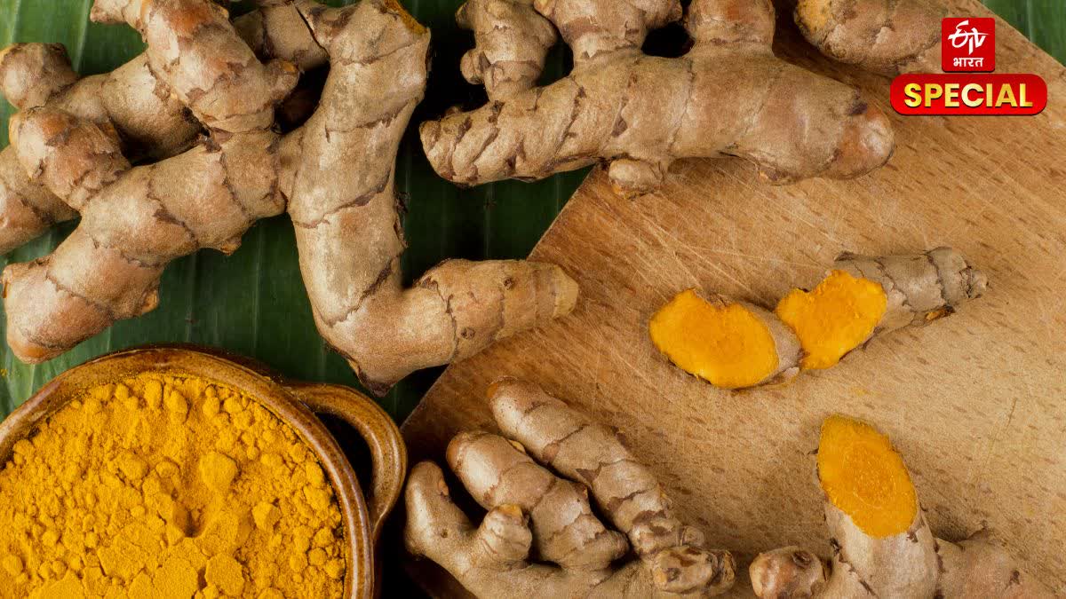 Turmeric is Beneficial for Health