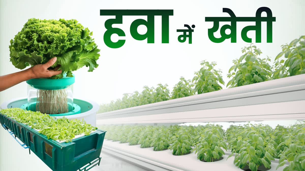 Farming in air in Bihar