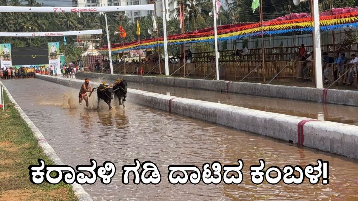 Green Signal For Holding Kambala Across The Karnataka