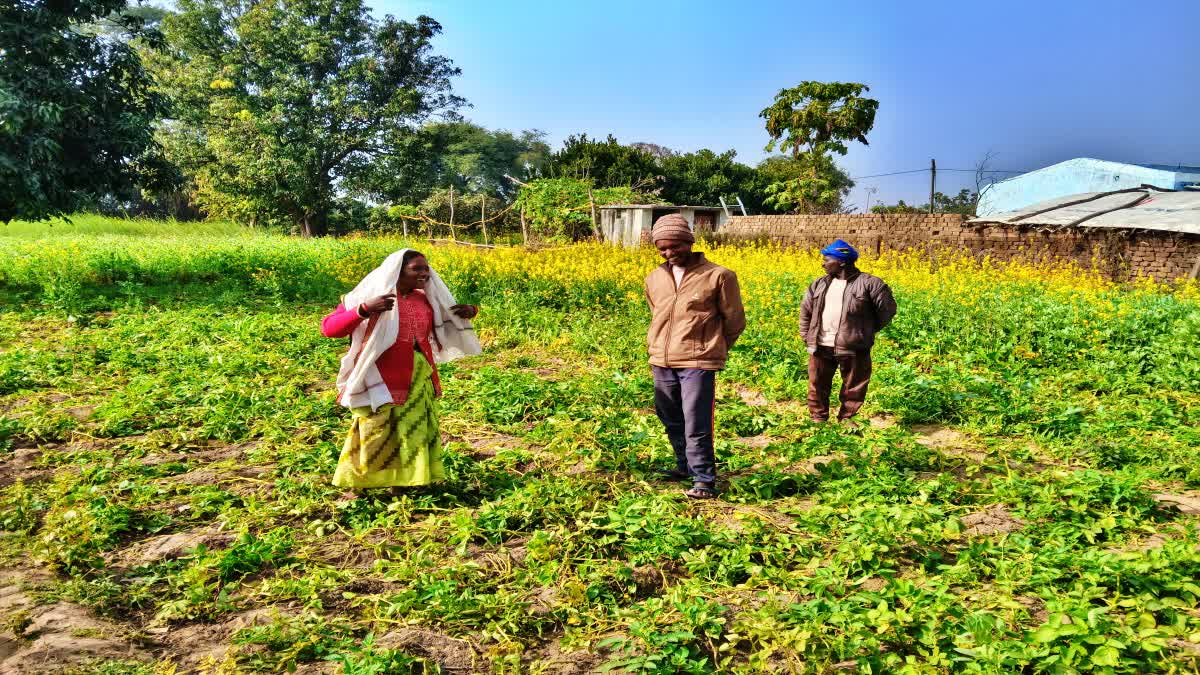 FARMERS OF LATEHAR