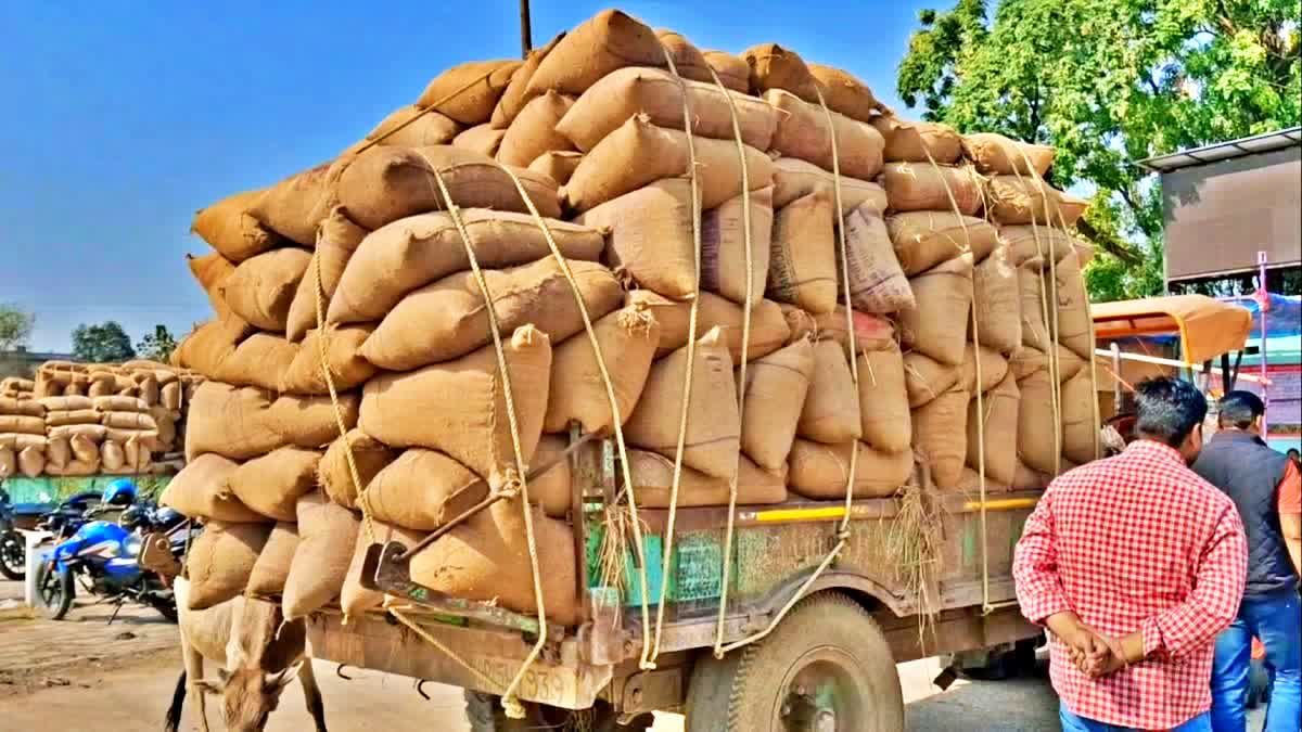 PADDY MILLER ASSOCIATION STRIKE