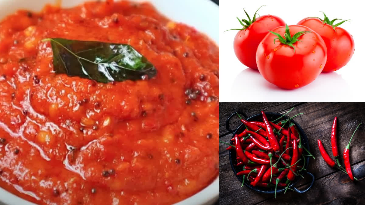 tasty red chilli tomato chutney  red chilli tomato chutney Recipe  how to make chilli tomato chutney  ಕೆಂಪು ಮೆಣಸಿನಕಾಯಿ ಟೊಮೆಟೊ ಚಟ್ನಿ