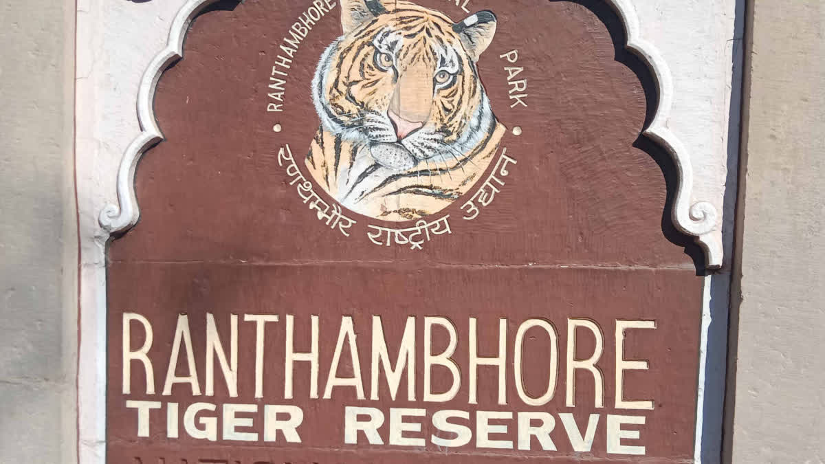 Ranthambore National Park