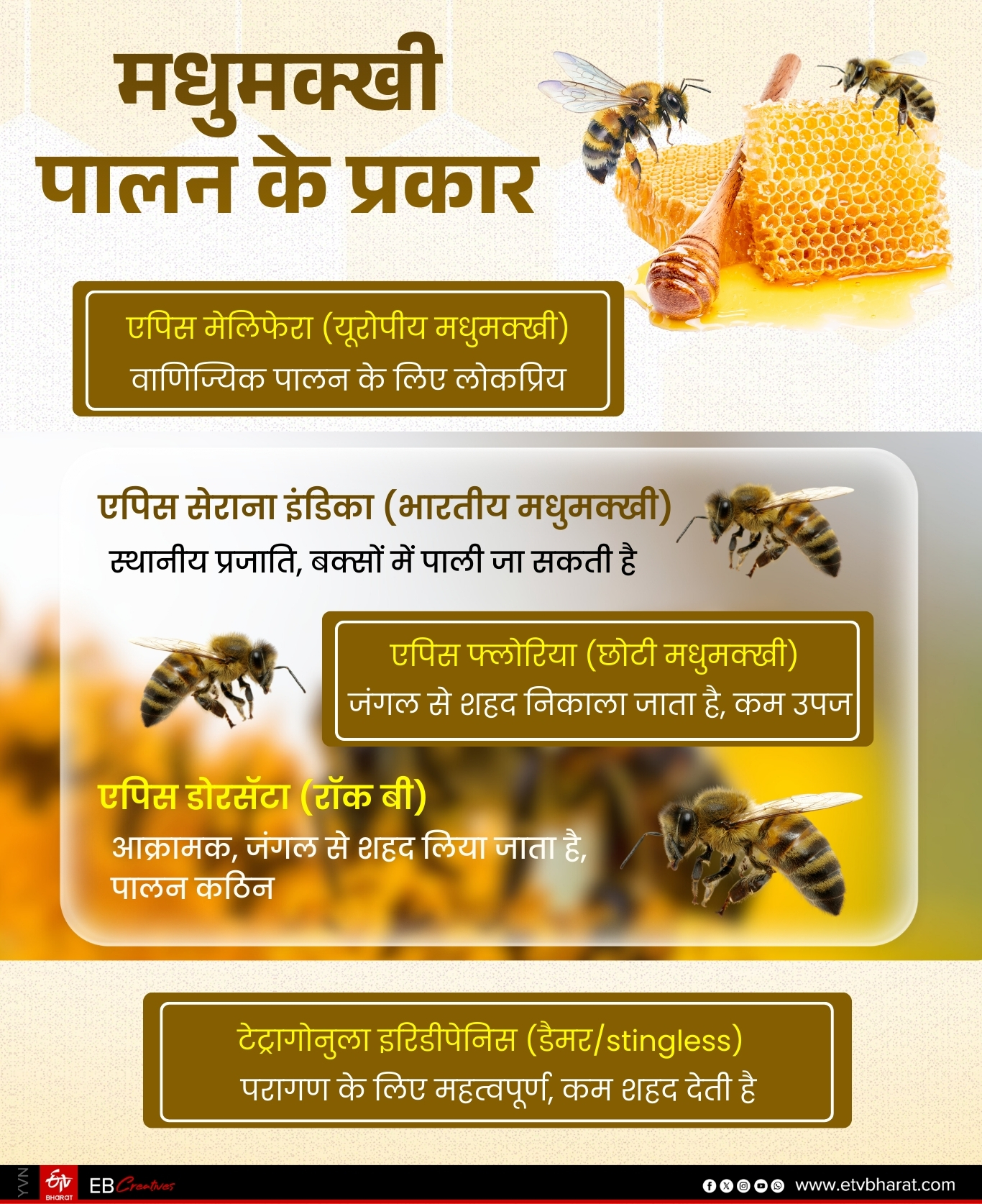 ईटीवी भारत GFX.