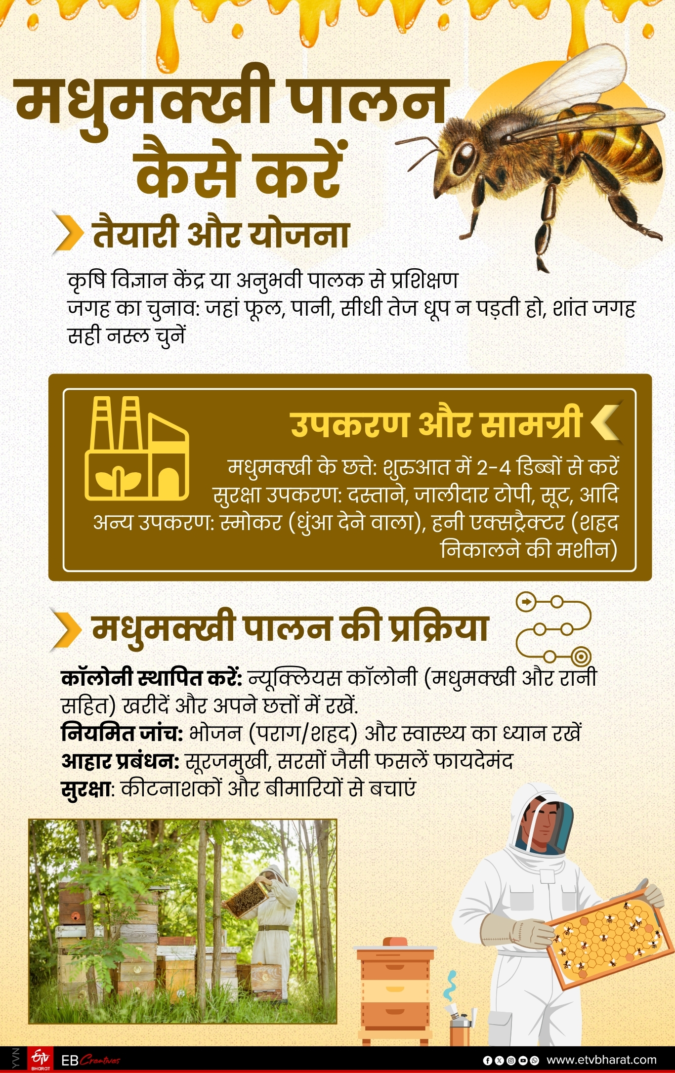 ईटीवी भारत GFX.