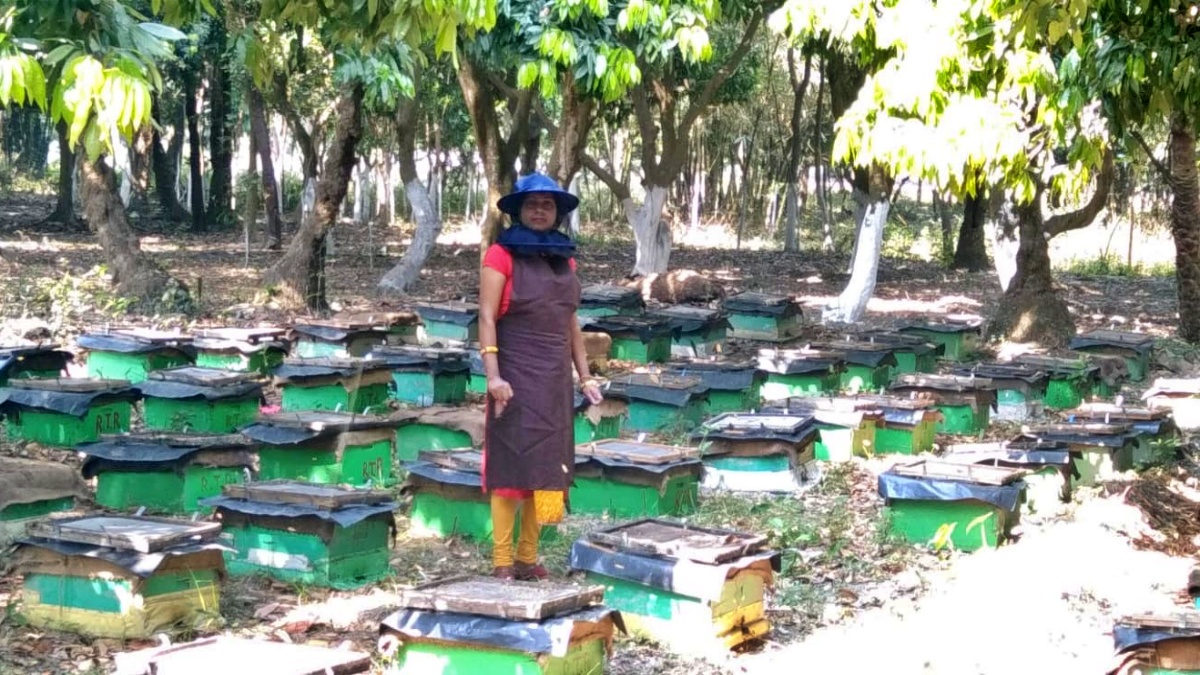 Muzaffarpur Honey Girl Anita Kushwaha