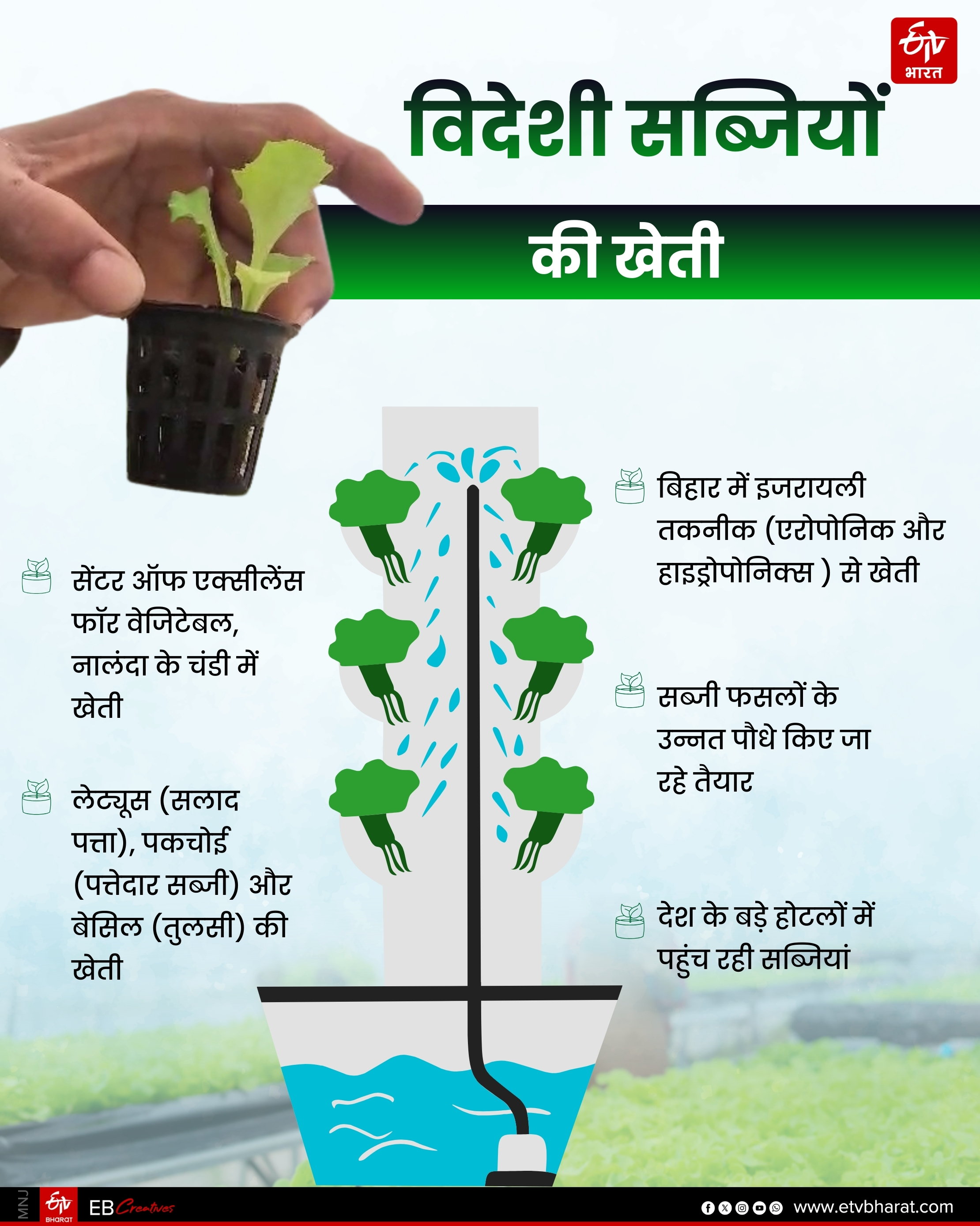 Farming in air in Bihar