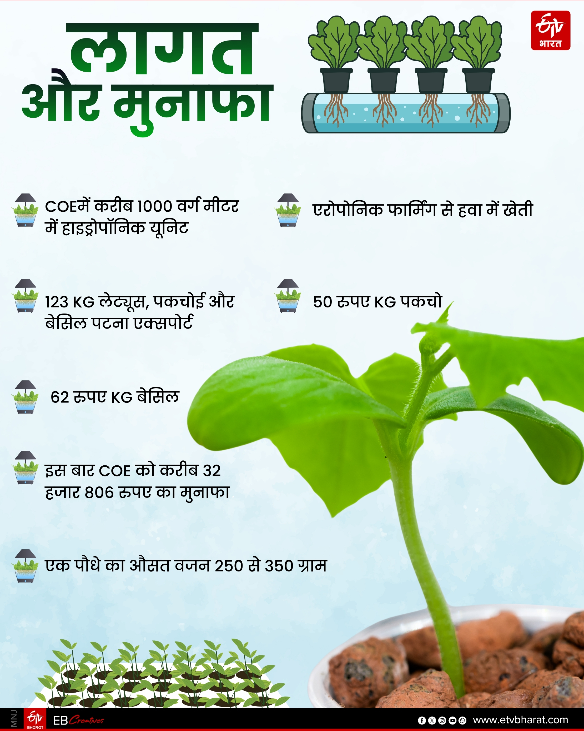Farming in air in Bihar
